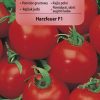 Rajčiak Harzfeuer F1