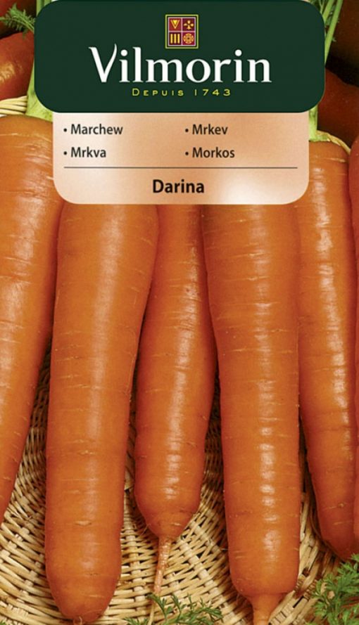 Mrkva Darina