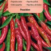 Paprika Poseidon