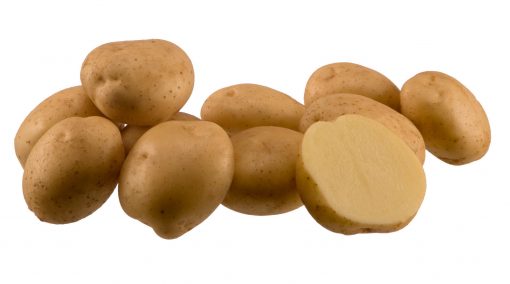 Sadbové zemiaky Sante
