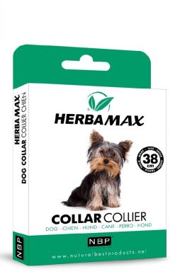 HerbaMax Maxi Dog - 38cm