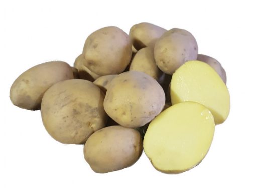 Sadbové zemiaky Constance