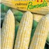 Kukurica cukrová Ramondia