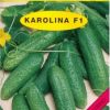 Holman uhorka Karolina F1