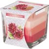 Sviečka sklo Dúha Cactus flower 170g