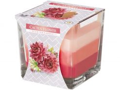 Sviečka sklo Dúha Cactus flower 170g