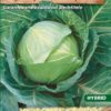 Kapusta hlávková neskorá Target F1
