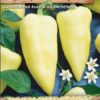 Paprika Monanta zeleninová