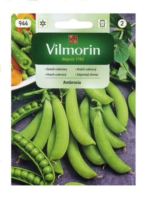 Hrach cukrový Ambrosia