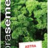 Petržlen vňaťový Astra DS