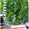 Petržlen vňaťový Gigante D´Italia DS