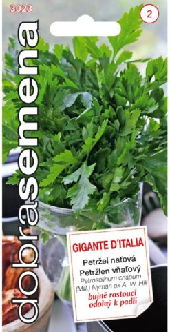 Petržlen vňaťový Gigante D´Italia DS
