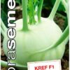 Kaleráb skorý Kref F1 DS