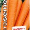 Mrkva karotka Marion F1 DS