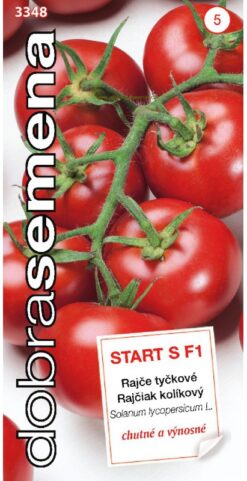 Rajčiak Start S F1 DS