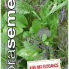 Zmes ázijských listových zelenín Asia Mix Elegance DS