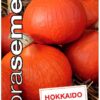 Tekvica Hokkaido DS