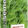 Petržlen vňaťový Menuette DS