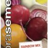 Repa šalátová Rainbow MIX DS