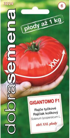 Rajčiak kolíkový Gigantomo F1 XXL DS