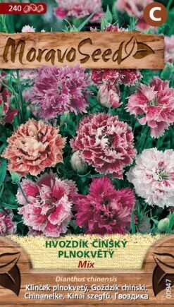 Klinček čínsky plnokvetý mix