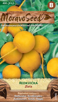 Reďkovka Zlata - žltá