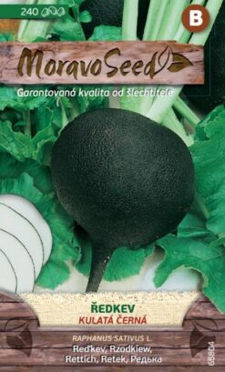 Reďkev Kulatá čierna