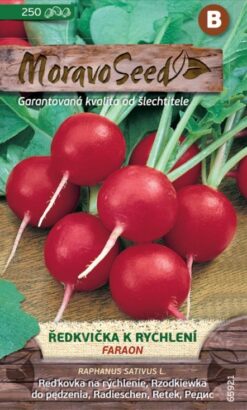 Reďkovka Faraon na rýchlenie