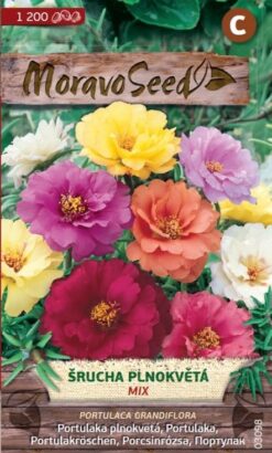 Portulaka veľkokvetá - plnokvetý mix